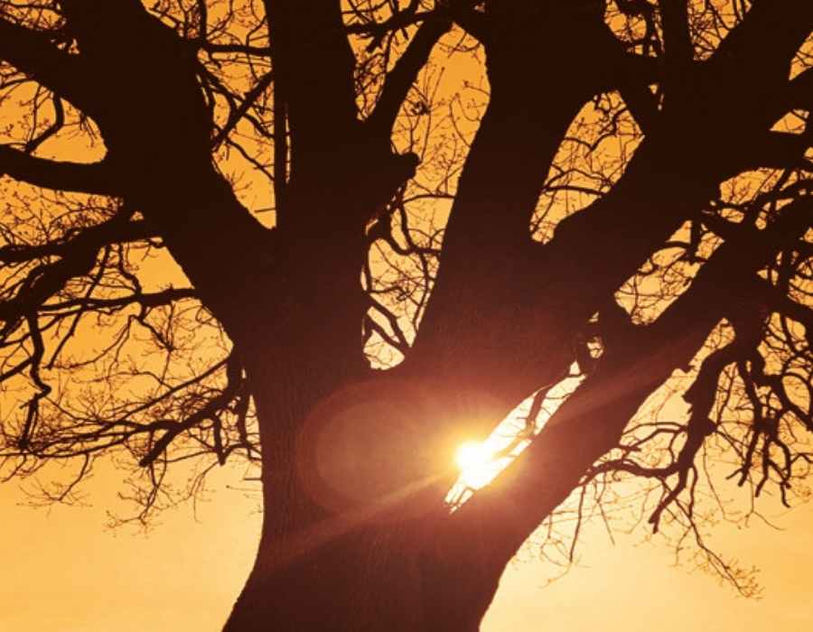 Sostenibilità e transizione ESG