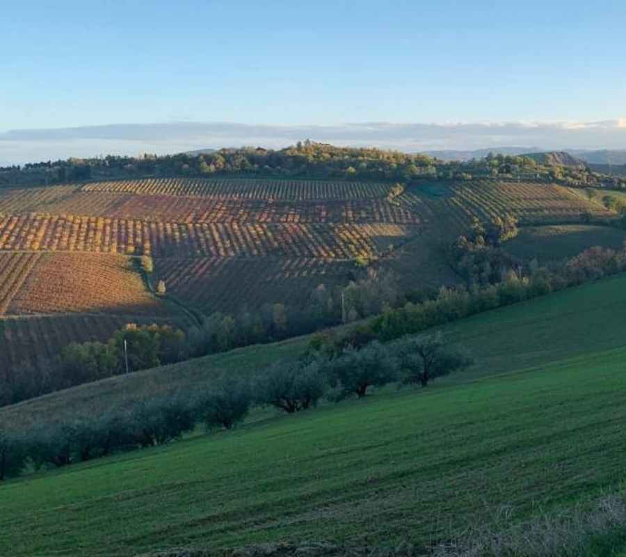 Project Management e sviluppo territoriale